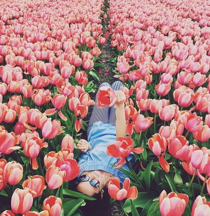 VIỆT NAM – ISTANBUL -  PHÁP – BỈ - HÀ LAN – ĐỨC