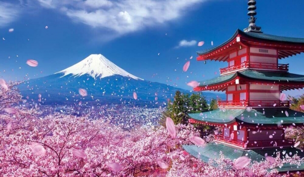 Vùng Hokkaido: Chitose - Otaru - Furano - Asahikawa Sapporo - Tokyo - Núi Phú Sĩ (Ngắm Hoa Lavender)